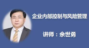 余世勇讲师内训-企业内部控制与风险管理